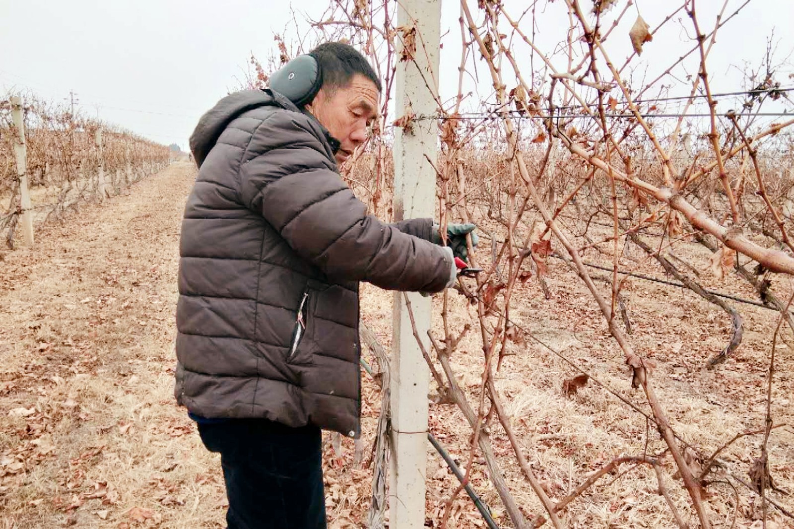 15507987349537.jpg 6.jpg