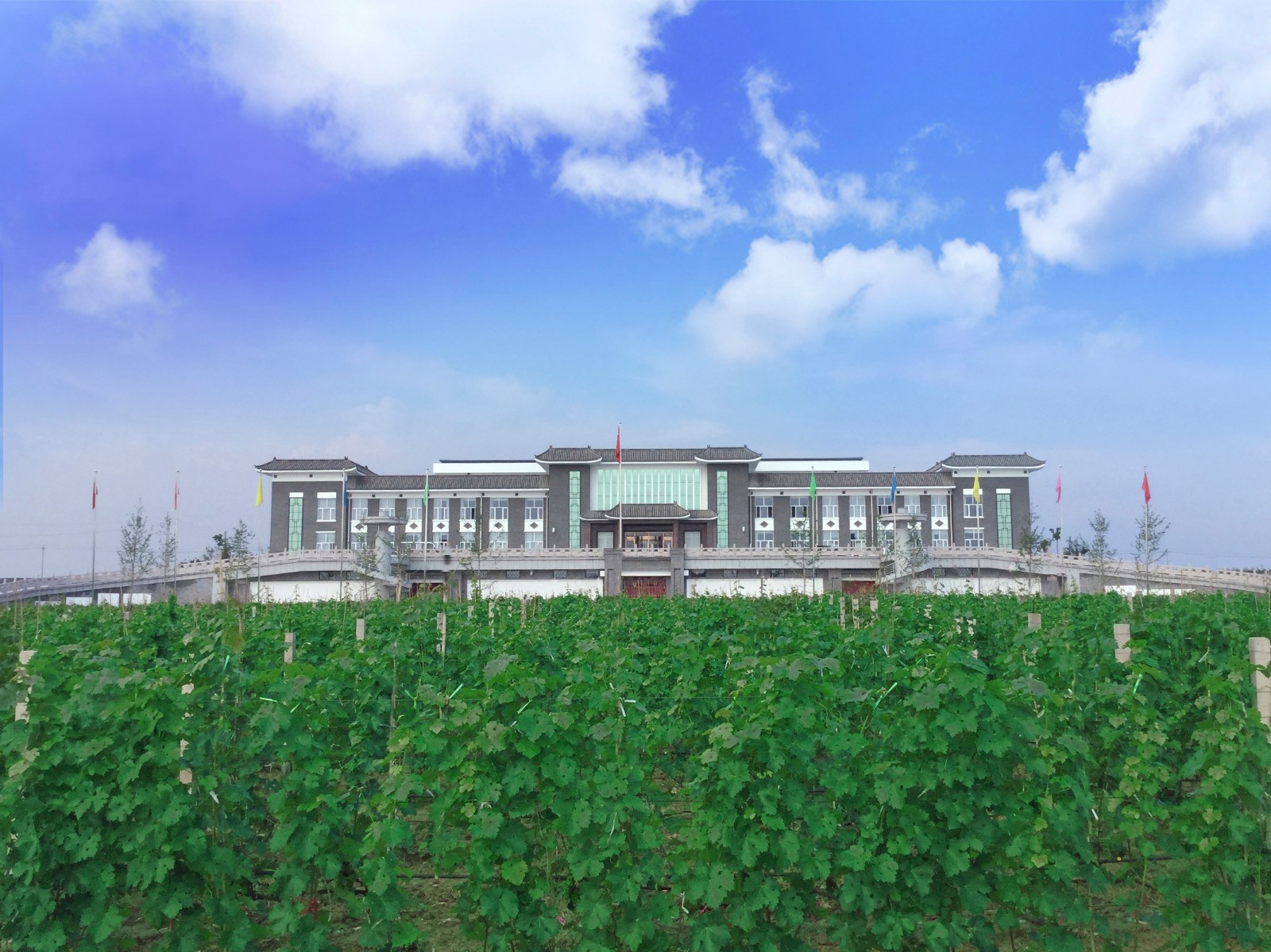 15540811914885.jpg 6.jpg