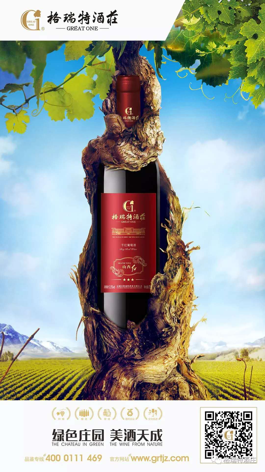 15543399021502.jpg 765708056169705864.jpg