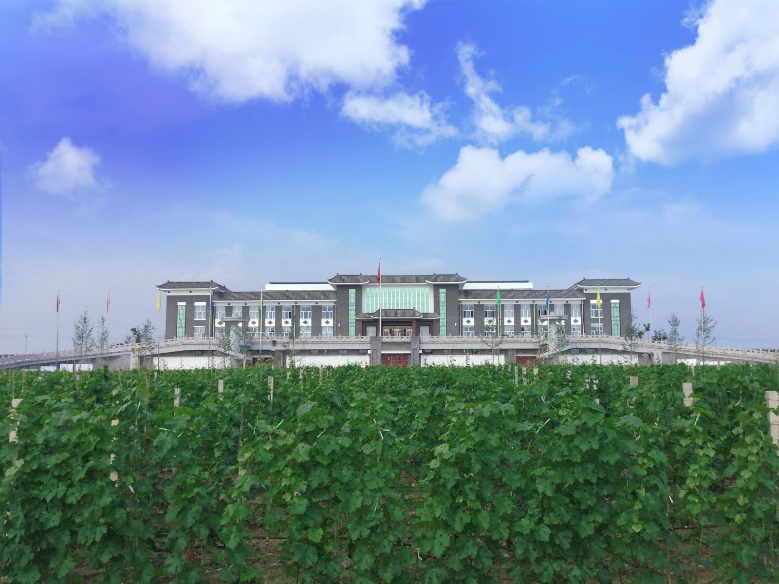 15710179474368.jpg 1.jpg